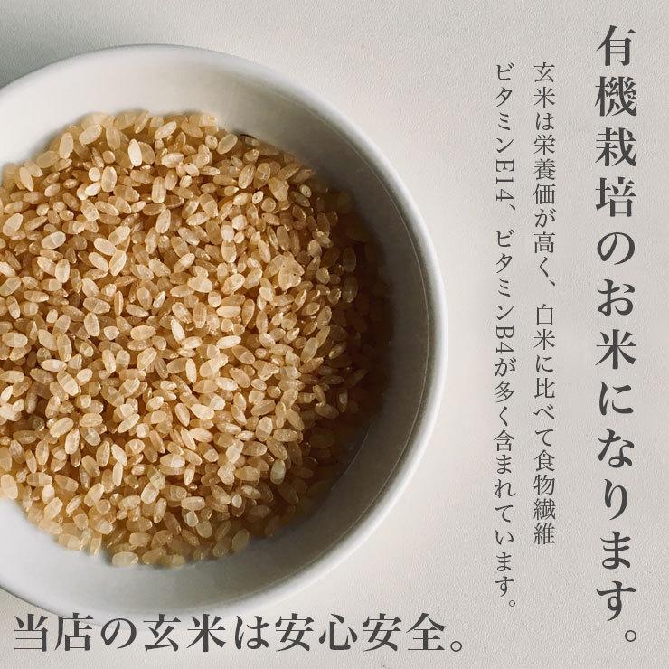 玄米 送料無料  令和5年産 新米 有機JAS とっとき 有機ゆきひかり (有機栽培 ゆきひかり100％) 10kg 北海道米 安心 安全 有機米 お米 当麻