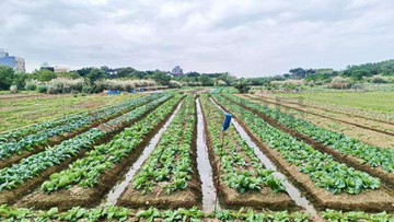 國際路延伸~都計內農地｜桃園市桃園區星見段