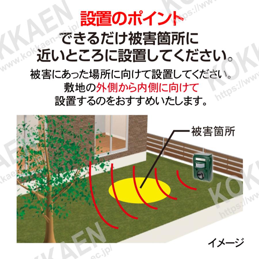 猫よけ 超音波 動物よけ 2個セット 動物撃退器 アニマルブロッカー3 獣害対策 ソーラー充電式 USB充電可 イノシシ イタチ ハクビシン アライグマ 犬 鳥 国華園