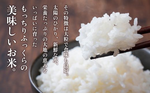 大崎産「なつほのか」5kg