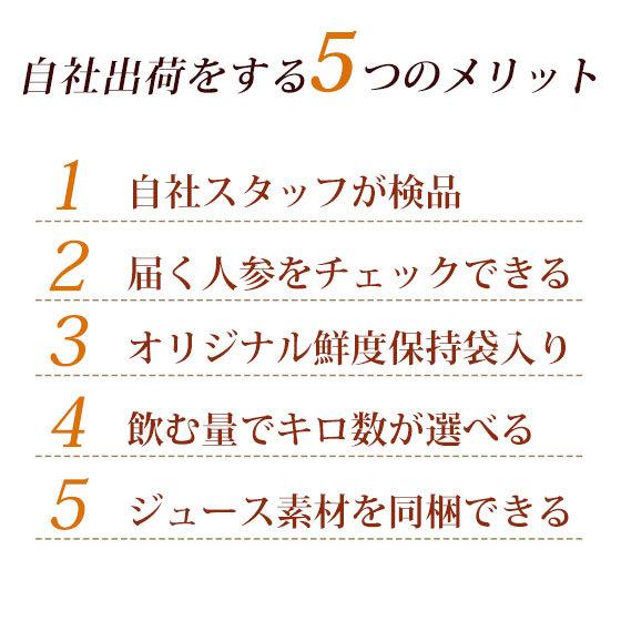 人参 無農薬人参 にんじん ジュース用 訳あり 6kg 国産 ニンジン にんじんジュース ゲルソン療法