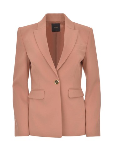 Pinko Single-breasted Tailored Blazer