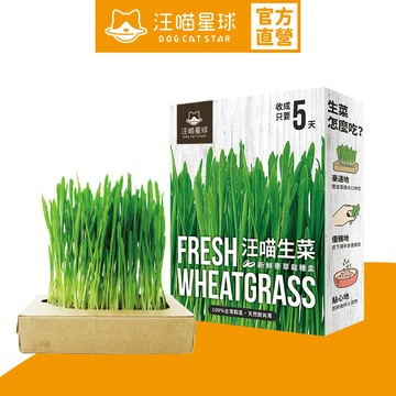 【汪喵星球】 貓草新鮮栽培盒 - 貓咪生菜三盒組 貓草新鮮栽培盒 狗草新鮮栽培盒
