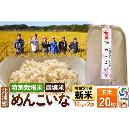 ふるさと納税 新米令和5年産 玄米 10kg2袋 秋田県仙北市