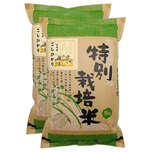 新米 信州産 特別栽培米 こしひかり 10kg（5kg×2） 令和5年産 《受注精米》 米 お米 コメ 長野県 信州ファーム荻原