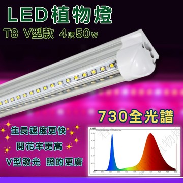 【君沛】V型雙排 730全光譜 4呎T8一體式 50W 旗艦功率 誘導上色 龍舌蘭 多肉 大型層架補光