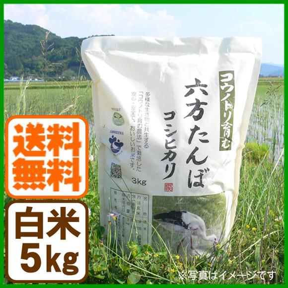 新米 コシヒカリ 白米 5kg コウノトリ育む農法 令和5年産 送料無料 お米 兵庫県産