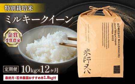  令和5年産 ミルキークイーン 10kg×12ヶ月 若井農園おすすめ米1.8kg付 十六代目米師又八 謹製 米 新米 ミルキークイーン 精米 ミルキークイーン 白米 ミルキークイーン 令和5年産ミルキークイーン 産地直送 ミルキークイーン 農家直送 ミルキークイーン 国産 ミルキークイーン 特別栽培米 ミルキークイーン 金賞農家 ミルキークイーン 滋賀県 竜王町)