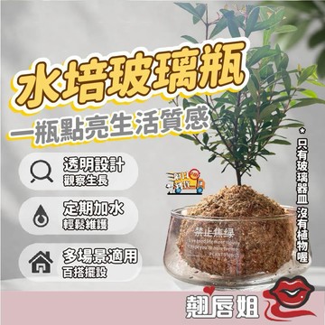 挑戰最超值 水培玻璃瓶植栽 苔蘚球盆栽 室內療癒小盆景 辦公室桌面綠植 水培花盆 水培盆栽 自吸水盆栽  水養植物瓶