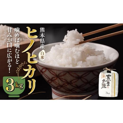 ふるさと納税 熊本県 八代市 八代市産 ヒノヒカリ 3kg 令和5年産 米 熊本 送料無料