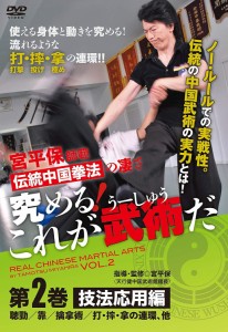宮平保師範 伝統中国拳法の凄さ 究める これが武術だ 第2巻技法応用編 DVD