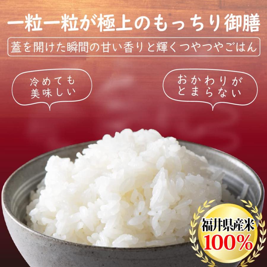 新米福井県産ミルキークイーン 白米 令和5年産 (5kg)