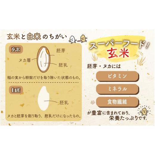 ふるさと納税 福井県 勝山市 令和5年産 梅花藻が群生する清流で育てたコシヒカリ（玄米 5kg） [A-040019]