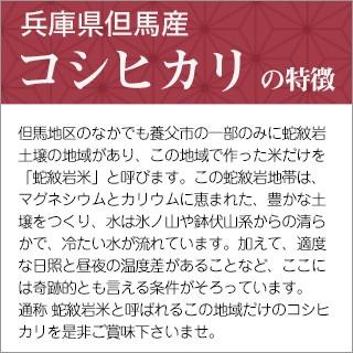 新米 令和5年(2023年)産 兵庫但馬産コシヒカリ（蛇紋岩米） 300g(2合) × 3パック 真空パック