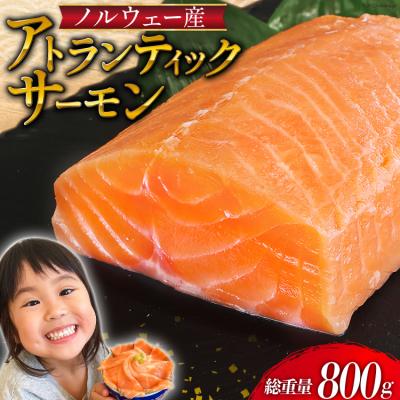 ふるさと納税 気仙沼市 ノルウェー産 アトランティックサーモン 総重量800g(正味重量680g) [20562809]