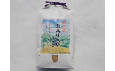 巻機山プリンセス「天然記念物森青蛙」産卵水田 玄米2kg 標高六百米