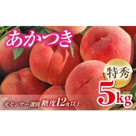 ふるさと納税 先行予約 福島県伊達市産 桃 あかつき 特秀 約5kg F20C-125 福島県伊達市