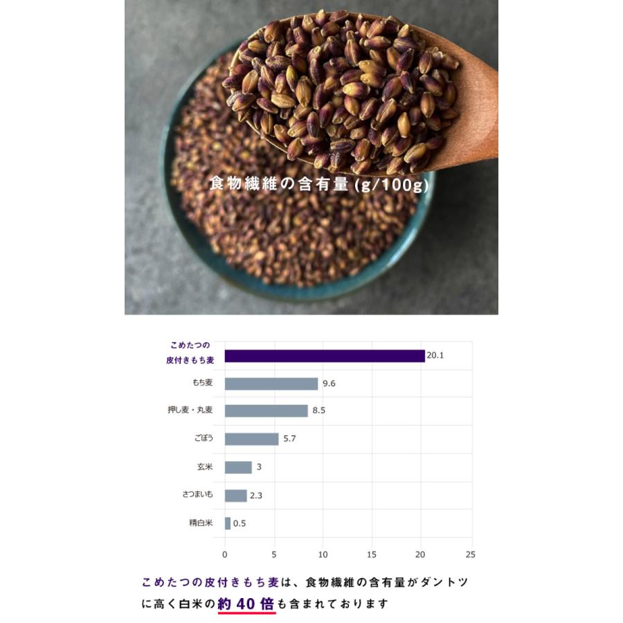 もち麦 皮付き10kg ダイシモチ 紫もち麦 国内産 雑穀 雑穀米 ダイエット 無添加 2kg×5袋 自然の蔵