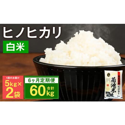 ふるさと納税 熊本県 菊池市 熊本県菊池産 ヒノヒカリ 5kg×2袋×6回 計60kg 精米 お米 白米