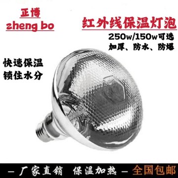 紅外線燈泡 保溫燈專用燈泡 食物保溫燈泡 250w/150w保溫燈泡