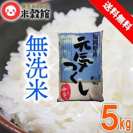 5kg 無洗米 福岡の新しいお米「元気つくし」 送料無料 一般米※