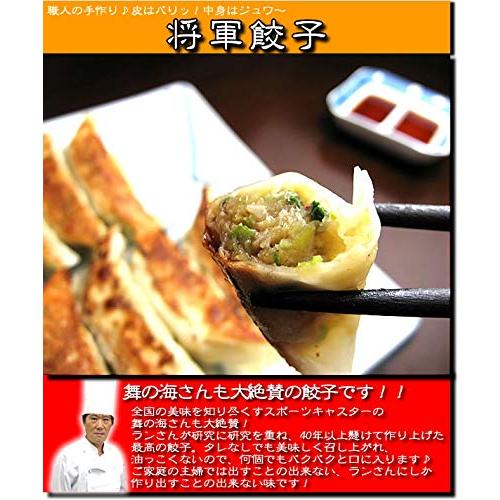 中華料理9種9品セット プレゼント 中華料理 冷凍食品 グルメ 中華 セット ギフト 食べ物 食品 惣菜 レトルト 冷凍食品 詰め合わせ お惣菜 おか