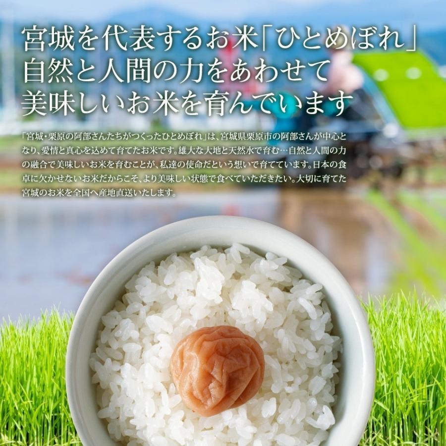 新米 米 2品目食べ比べ 米 5kg×2袋 お米 10kg 令和5年産 宮城県産 白米 送料無料 精白米 ひとめぼれ つや姫 各5kg×1袋