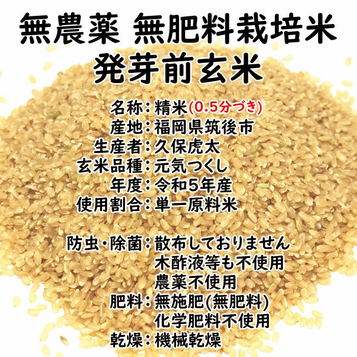 無農薬 無肥料 発芽前玄米10Kg 福岡県産 令和5年度産 元気つくし 0.5分づき米 発芽玄米 筑後久保農園 自然栽培米