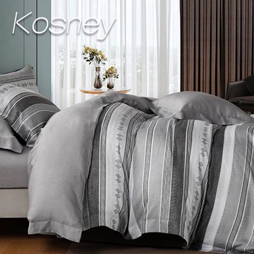 KOSNEY  塞納淺灰 加大100%天絲TENCEL四件式兩用被床包組