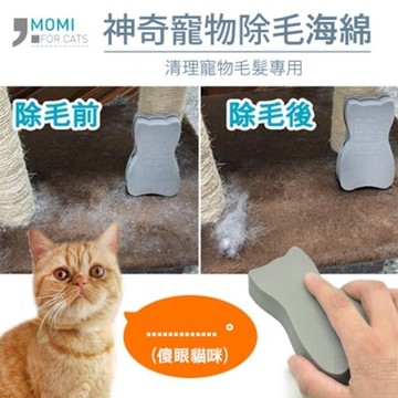 【富樂屋】神奇寵物除毛海綿(2入組)