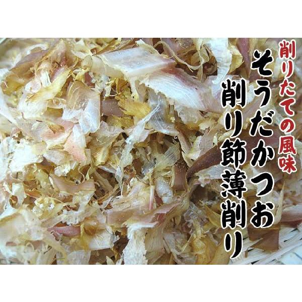 そうだかつお削り節・薄削り100g 宗田鰹節 ソウダカツオ節を薄く削った かつおぶし カツオ節 鰹節