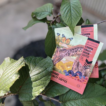 【尋品咖啡・兩件5折】精品濾掛式咖啡 - 花貝果娜 TOP G1 10入盒