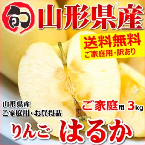 山形県産 りんご はるか 3kg(ご家庭用 7～15玉入り)