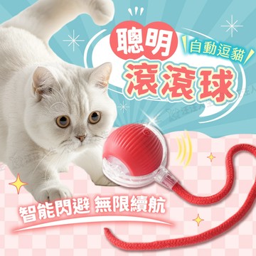 逗貓球 逗狗球 聰明滾滾球 智能滾滾球 智能逗貓球 逗貓玩具 貓玩具 電動逗貓球 自動逗貓球 狗玩具 電動滾滾球