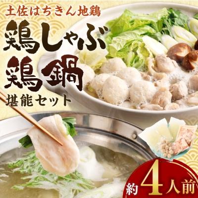 ふるさと納税 室戸市 土佐はちきん地鶏の鶏しゃぶ鶏鍋堪能セット