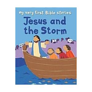 Jesus and the Storm (Paperback)