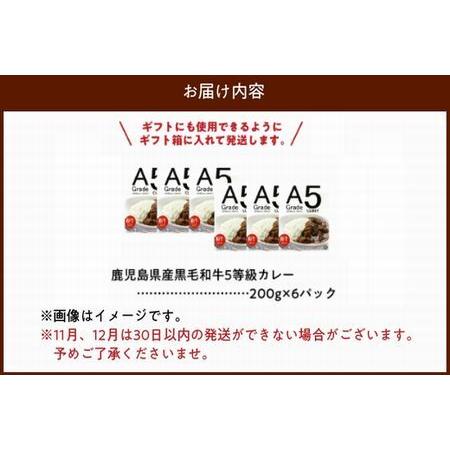 ふるさと納税 027-91 5等級黒毛和牛カレー ごろごろお肉入り200gx6個 鹿児島県南九州市