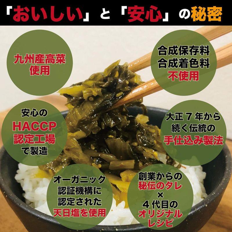 高菜 高菜漬け 国産 九州 福岡 食べ比べ お試しセット 600g 辛子 ごま油炒め 風味 生姜 (ピリッ辛 高菜 200g ごまシャキ 高