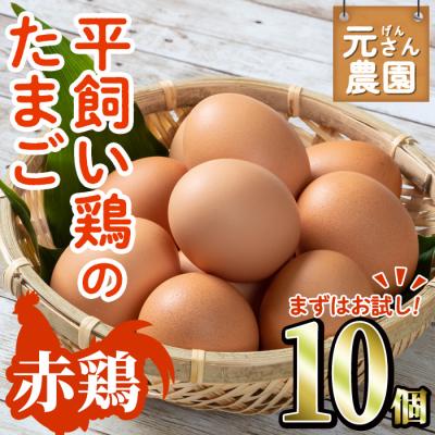 ふるさと納税 佐伯市  元さん農園 平飼い赤鶏のたまご (計10個)