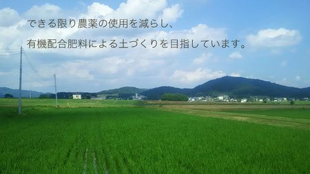 《3ヶ月定期便》 《令和5年産》新米 茨城県桜川市産こしひかり 15kg（5kg×3袋）× 3回 茨城県産 桜川 米 お米 白米 コメ ごはん 精米 コシヒカリ 国産 限定 [SC035sa]