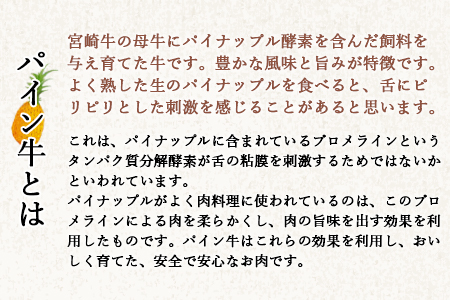 ＜パイン牛切り落とし　500ｇ＞翌月末迄に順次出荷