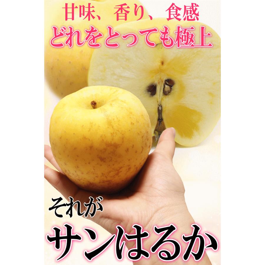 あすつく 青森 りんご 10kg箱 サンはるか 送料無料 家庭用 訳あり 青森 リンゴ 訳あり 10キロ箱★サンはるか 家訳 10kg箱