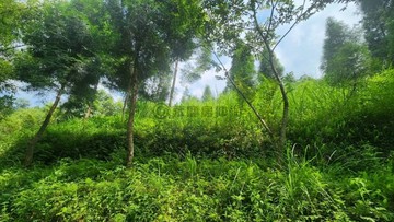 奕言堂▲邁向2050淨零排放 竹東造林植林地看過來｜新竹縣竹東鎮上舘段