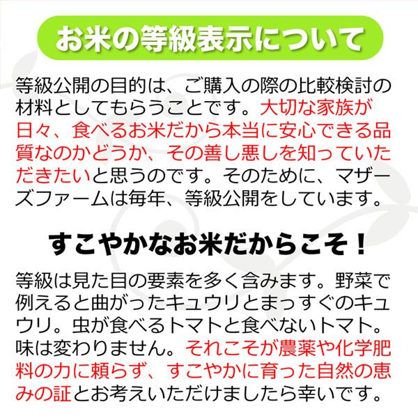 新米 無洗米 5kg コシヒカリ 白米 今ずり米 特別栽培米 令和5年産 兵庫県 但馬産 送料無料