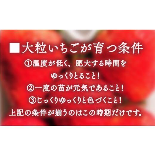 ふるさと納税 福岡県 宇美町 　厳選大粒あまおう(4パック) 　※2024年2月上旬〜4月中旬にかけて順次出荷予定　MY009