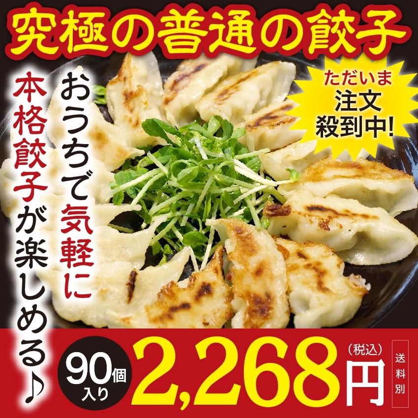 伊賀ぎょうざ家の冷凍生餃子（９０個）