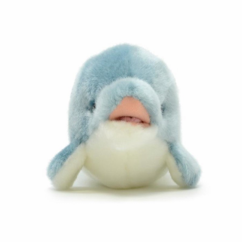 AQUA ぬいぐるみ マリン イルカ 「イルタン」 SS ブルー