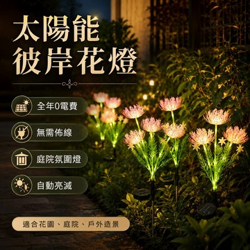 太陽能彼岸花燈💞粉色仿真花燈 向陽花燈 花園小夜燈 花園裝飾燈 太陽能燈 庭院造景燈 戶外庭院燈 草坪燈 太陽能插地燈
