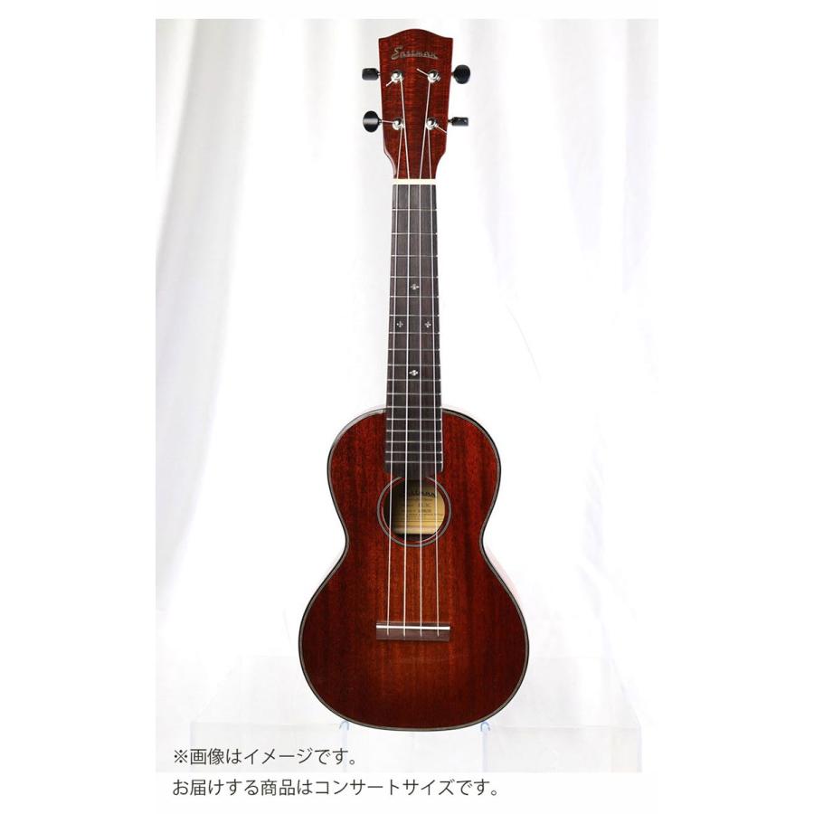 EASTMAN イーストマン EU3C コンサートウクレレ