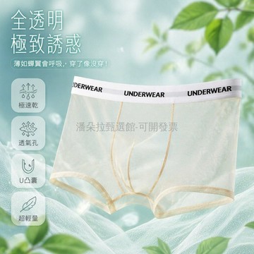 台灣出貨✨ 男士冰絲內褲 透氣網紗平角褲 超薄四角短褲 夏季清爽舒適 全透明設計
